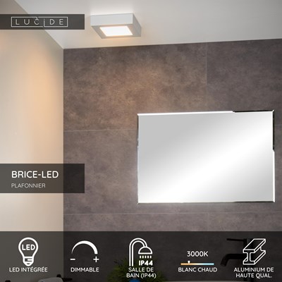 Lucide BRICE-LED - Plafonnier Salle de bains - LED Dim. - 1x15W 3000K - IP44 - Blanc